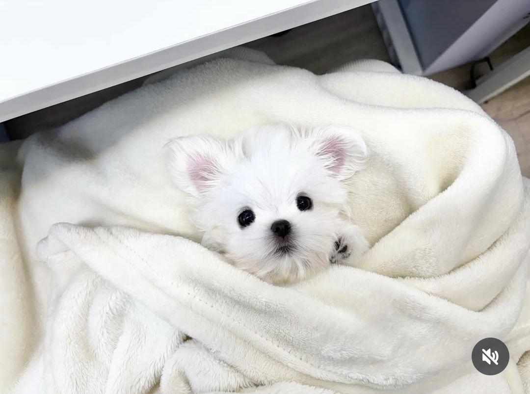 Ȯ�� �̹���