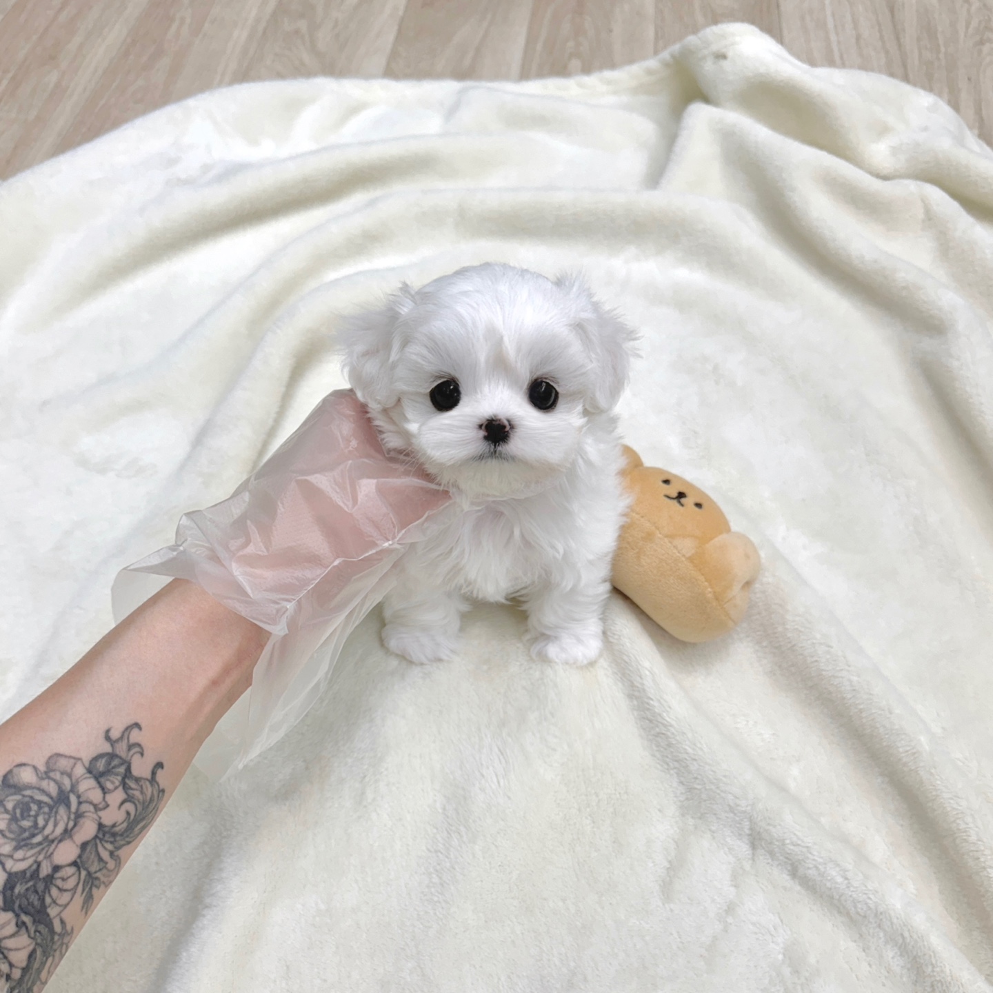 Ȯ�� �̹���