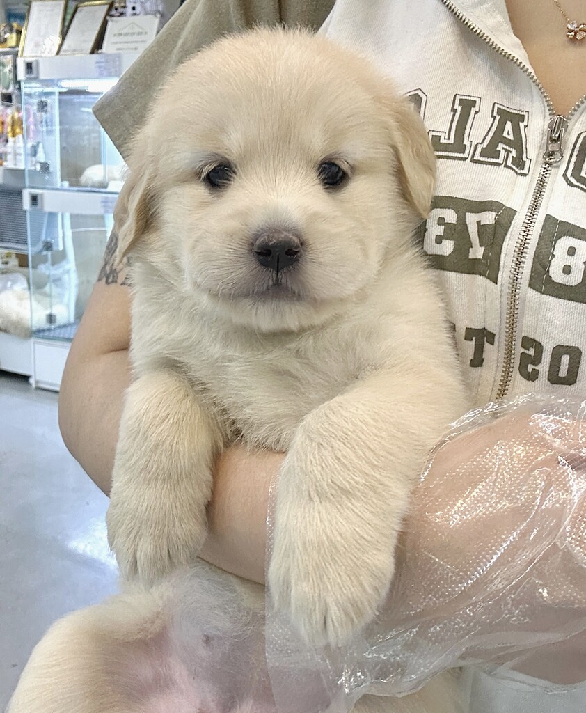 Ȯ�� �̹���