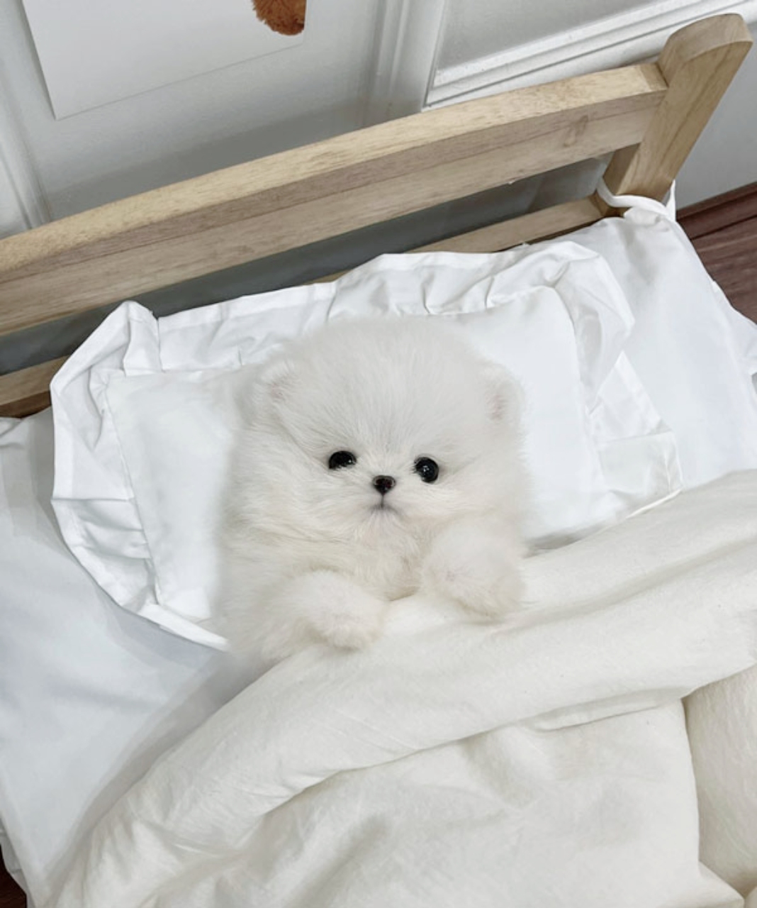 Ȯ�� �̹���