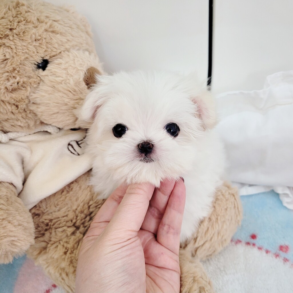 Ȯ�� �̹���