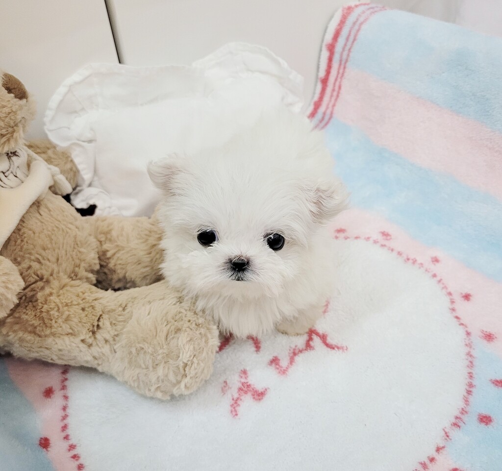 Ȯ�� �̹���