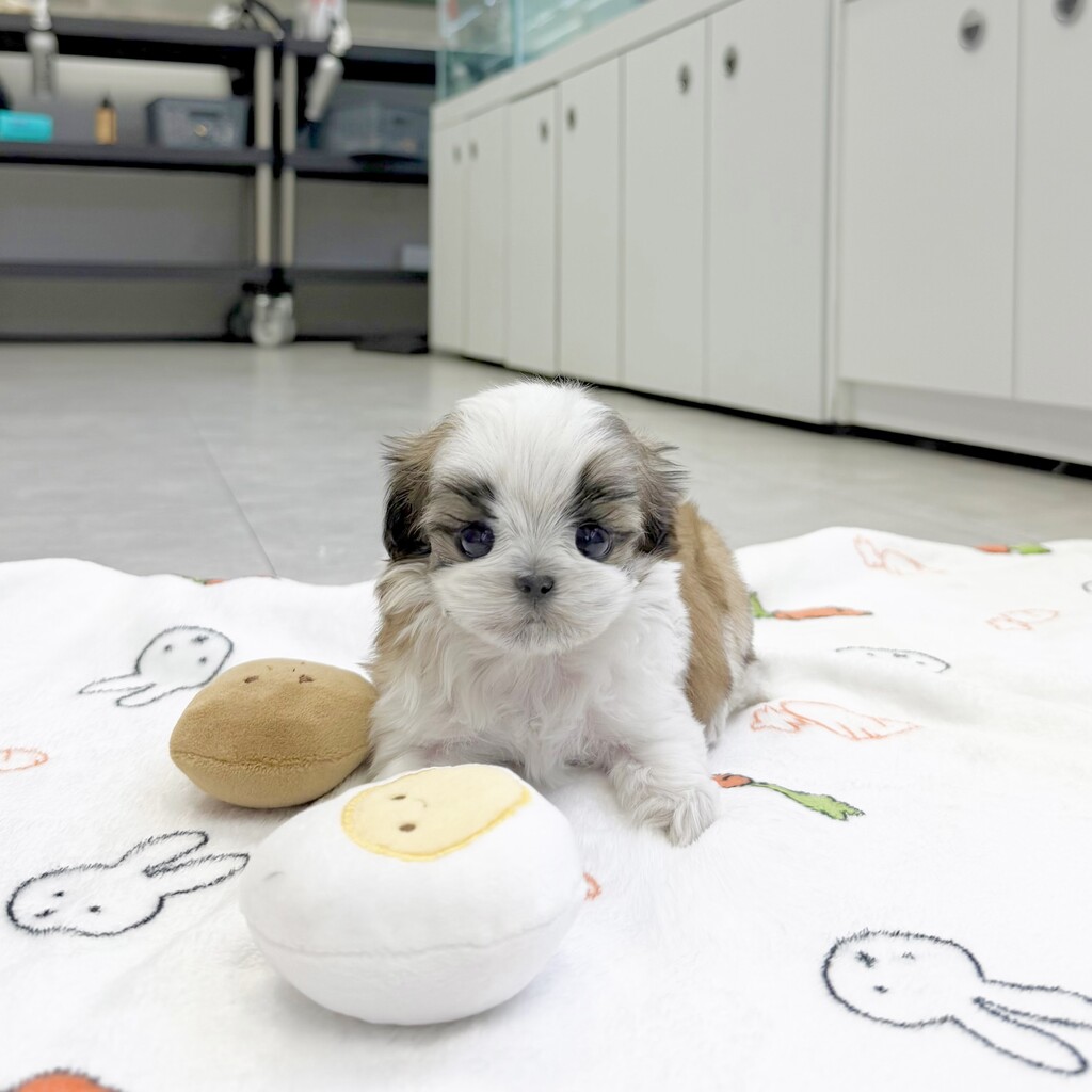 Ȯ�� �̹���