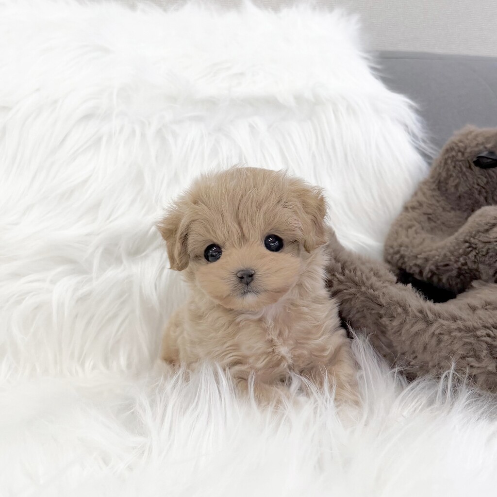 Ȯ�� �̹���