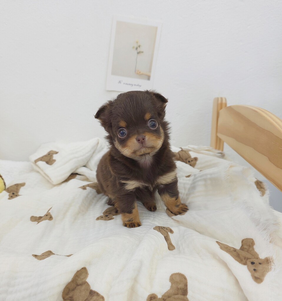 Ȯ�� �̹���