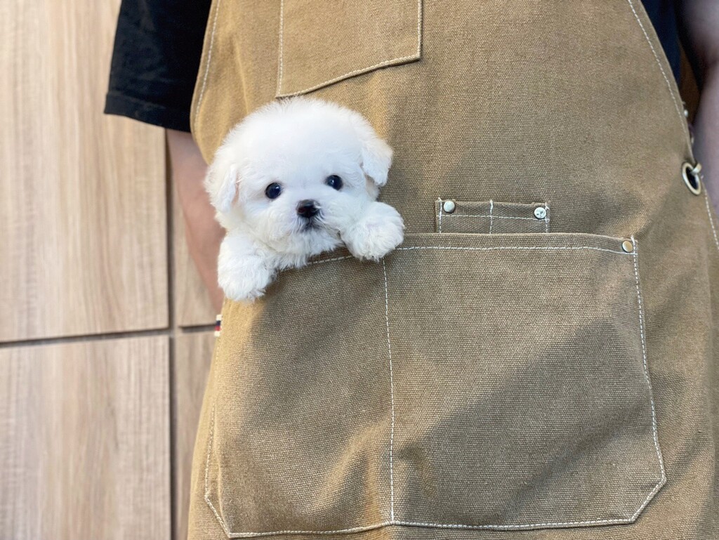 Ȯ�� �̹���