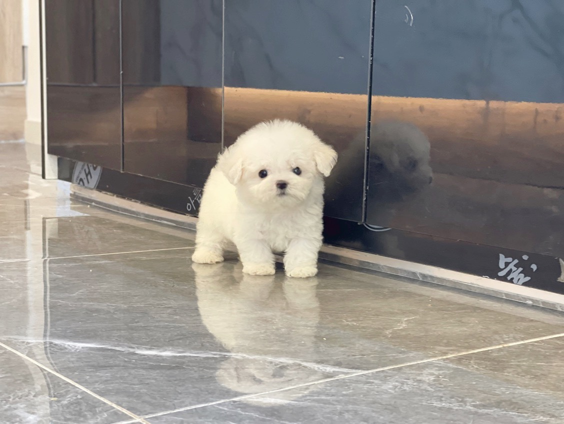 Ȯ�� �̹���