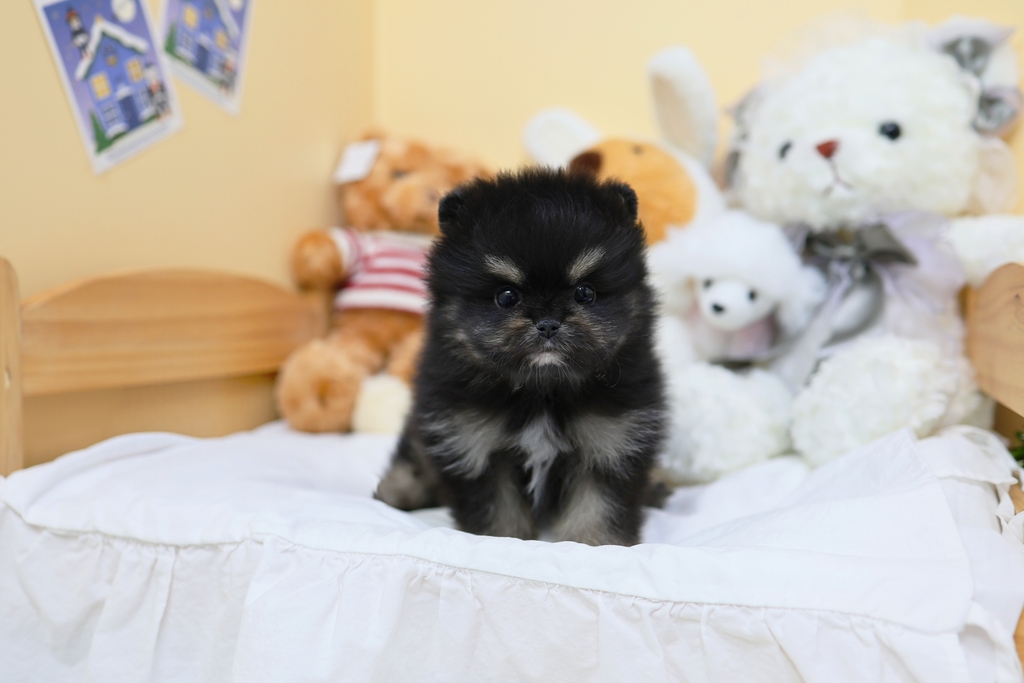 Ȯ�� �̹���