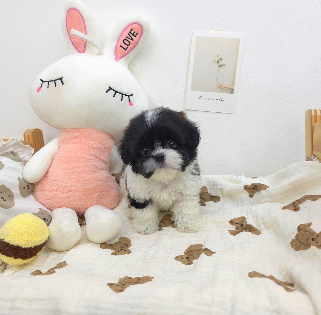 Ȯ�� �̹���