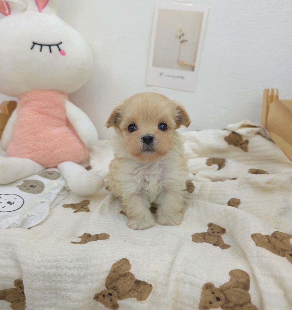 Ȯ�� �̹���