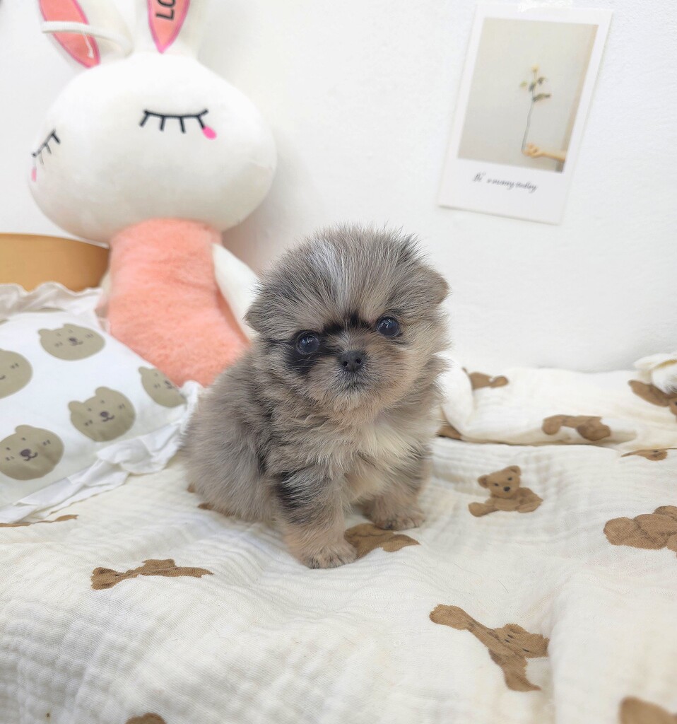 Ȯ�� �̹���