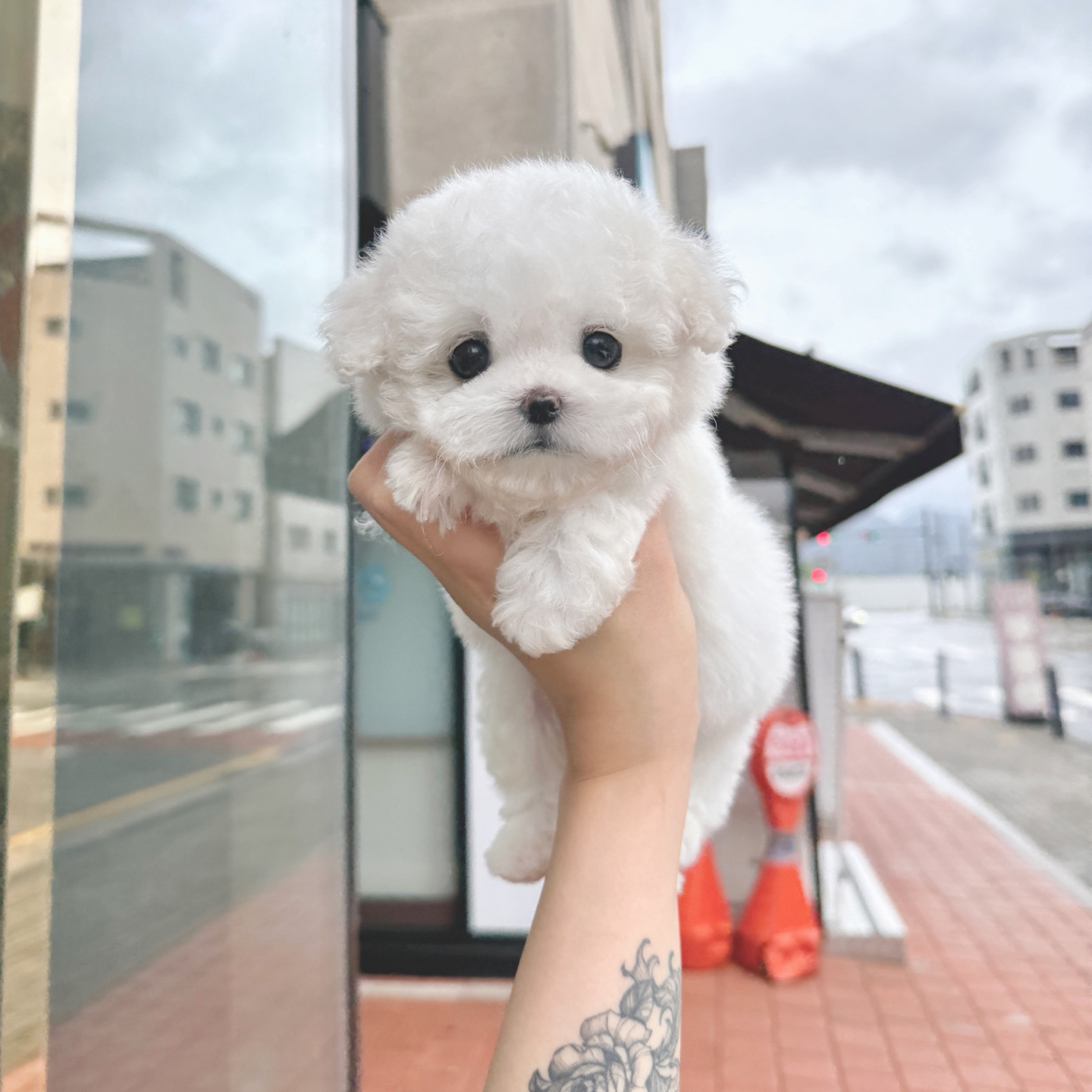 Ȯ�� �̹���