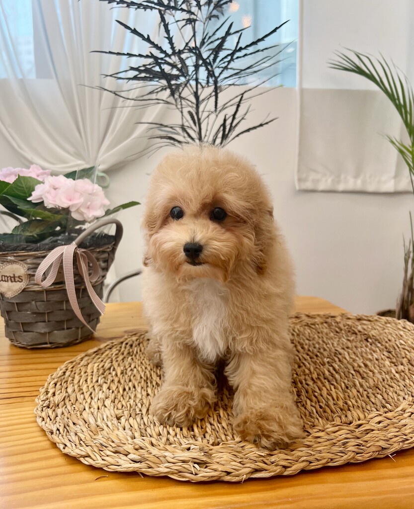 Ȯ�� �̹���