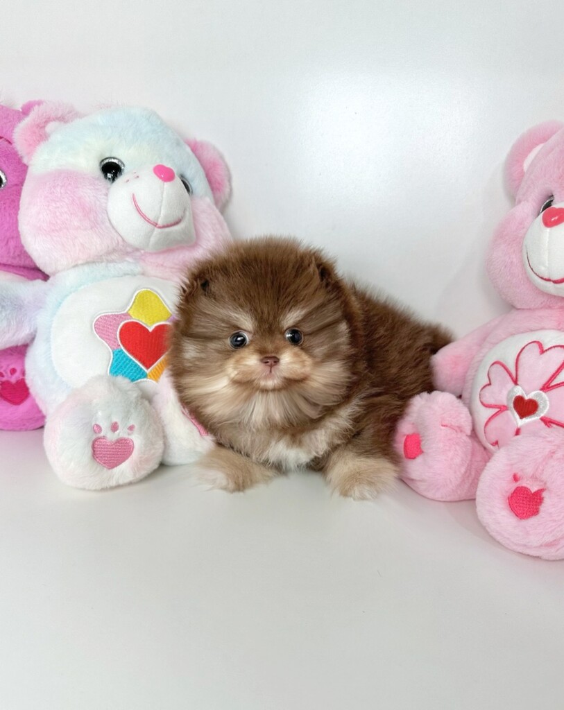 Ȯ�� �̹���