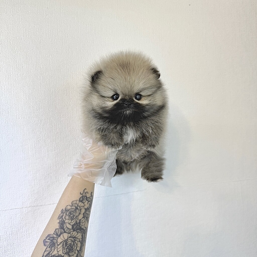 Ȯ�� �̹���