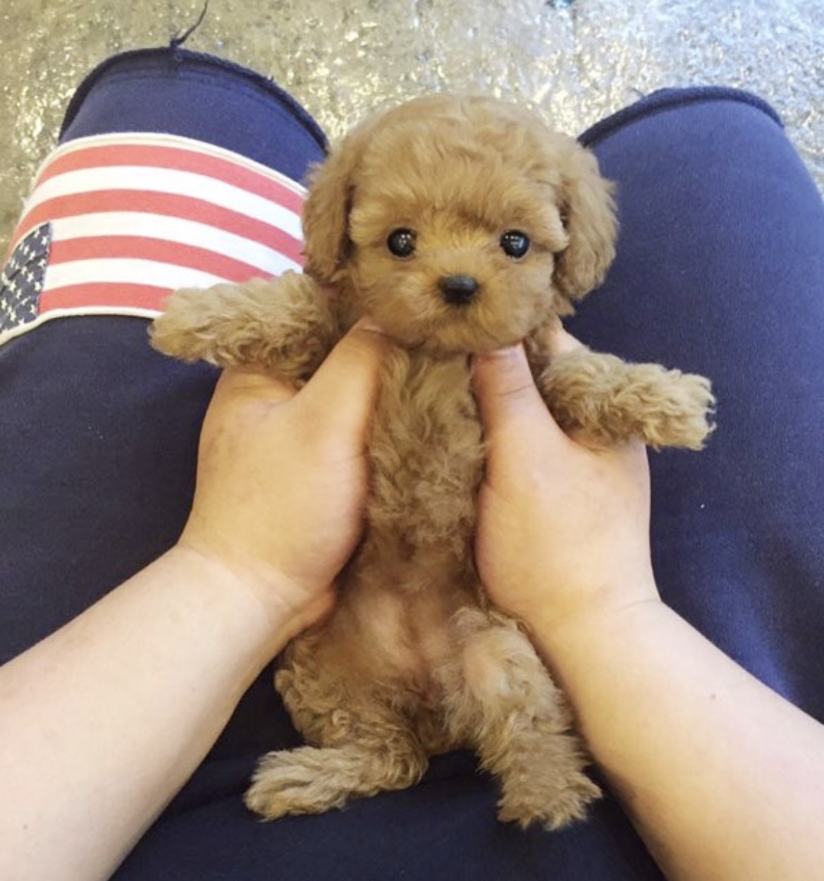 Ȯ�� �̹���