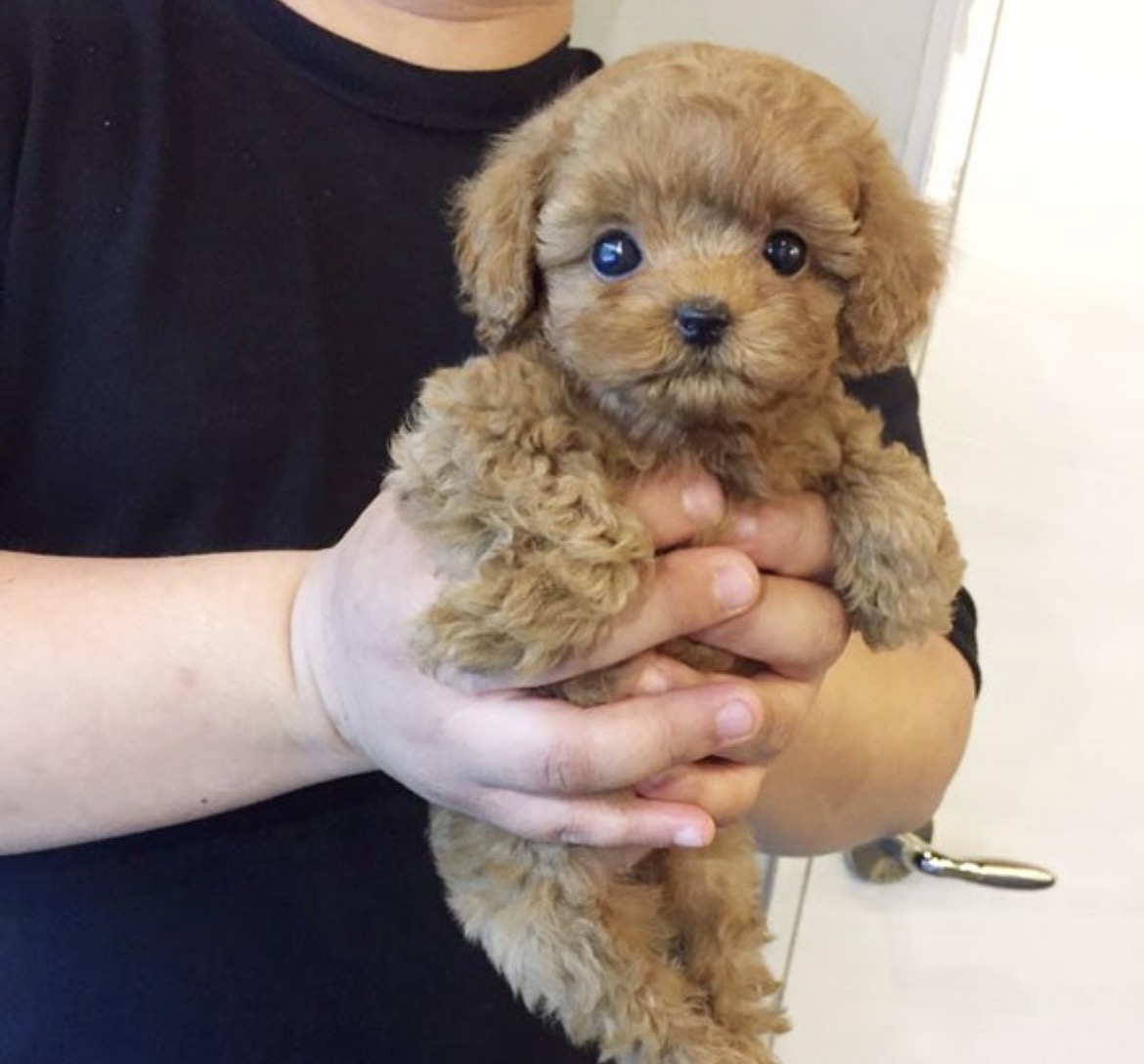 Ȯ�� �̹���