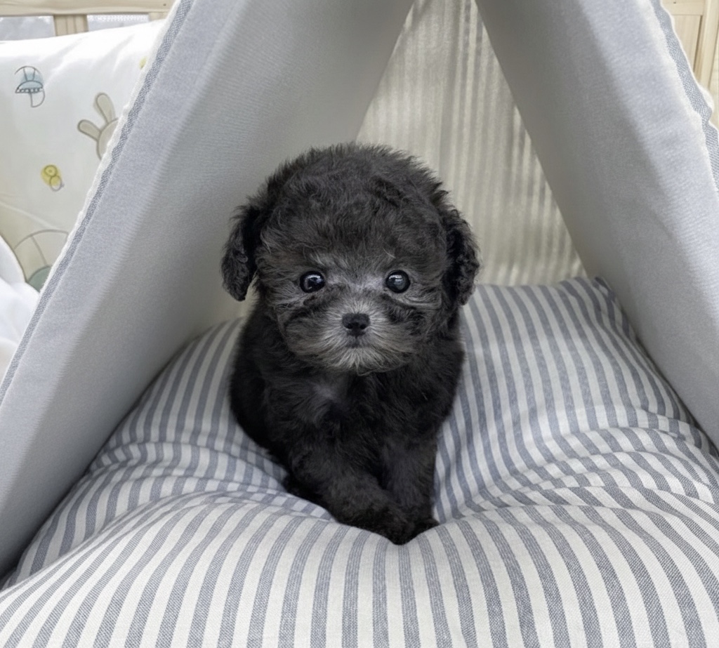 Ȯ�� �̹���