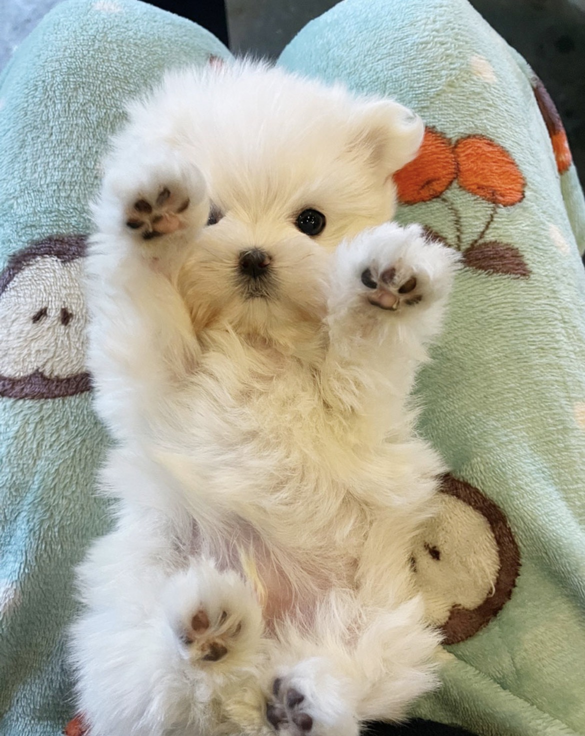 Ȯ�� �̹���