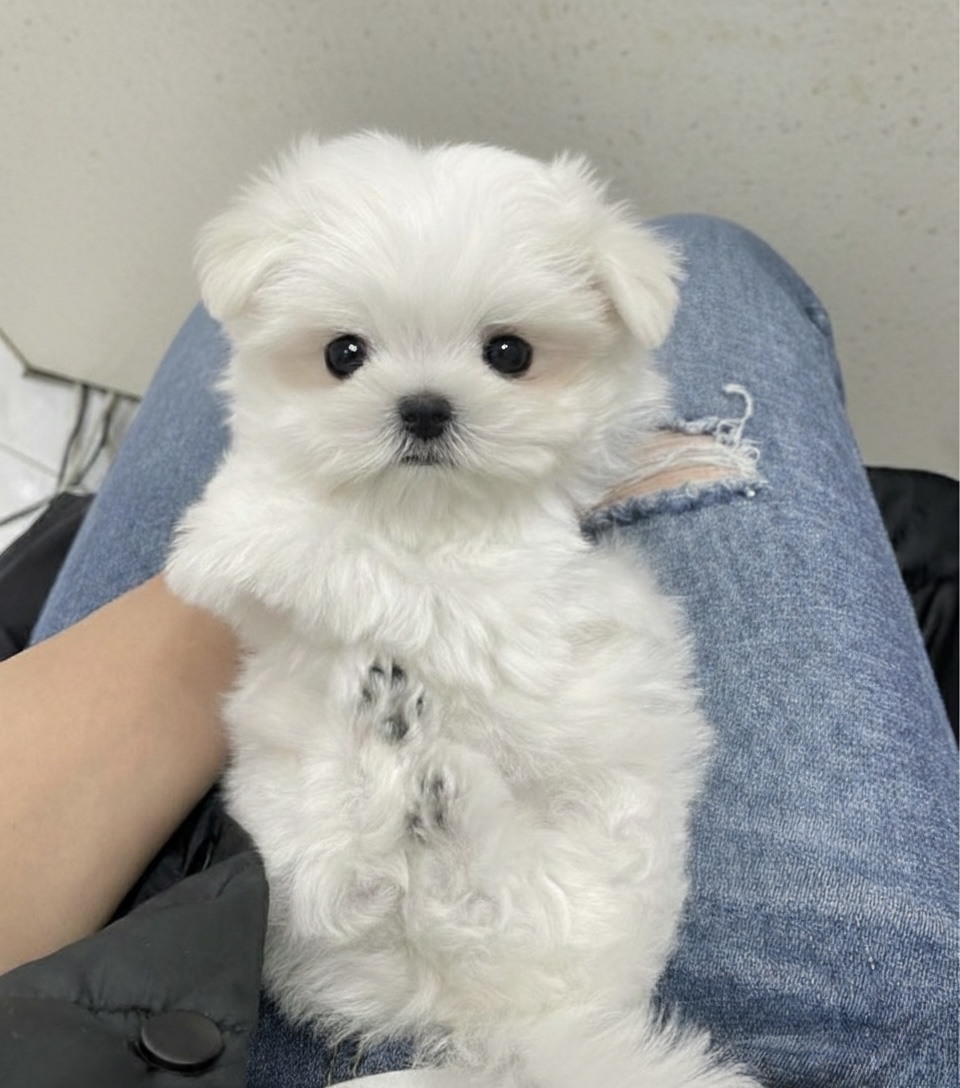 Ȯ�� �̹���