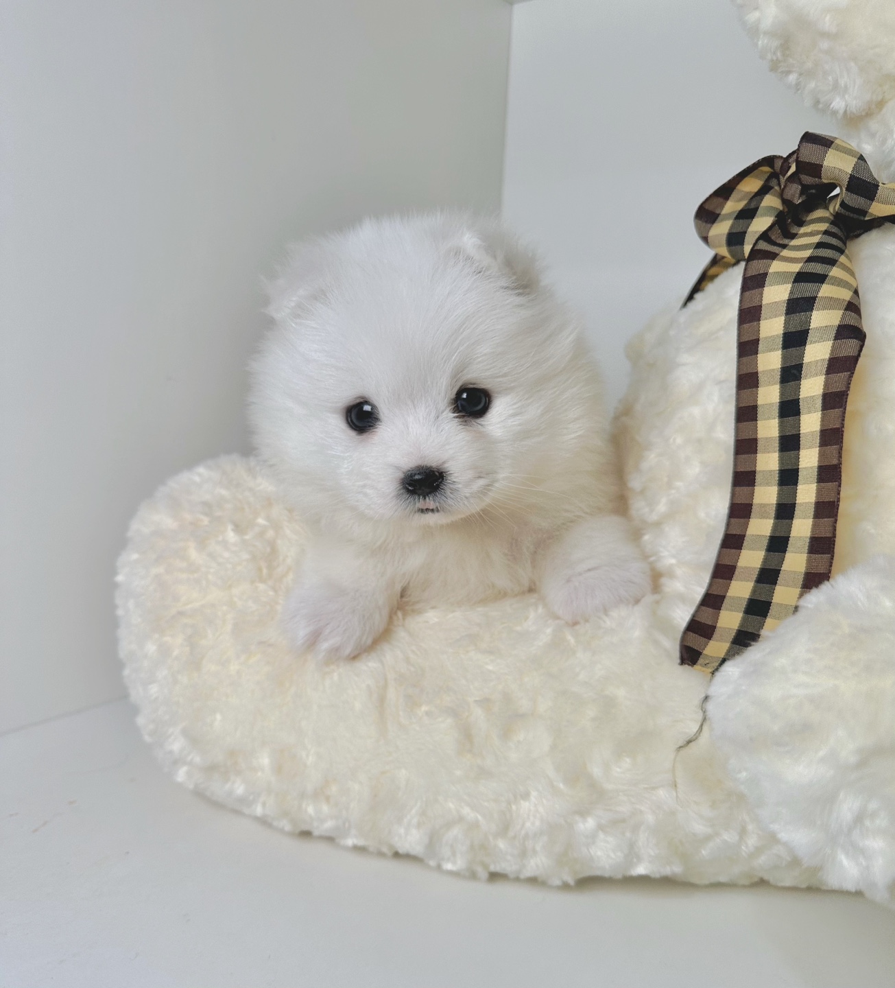 Ȯ�� �̹���