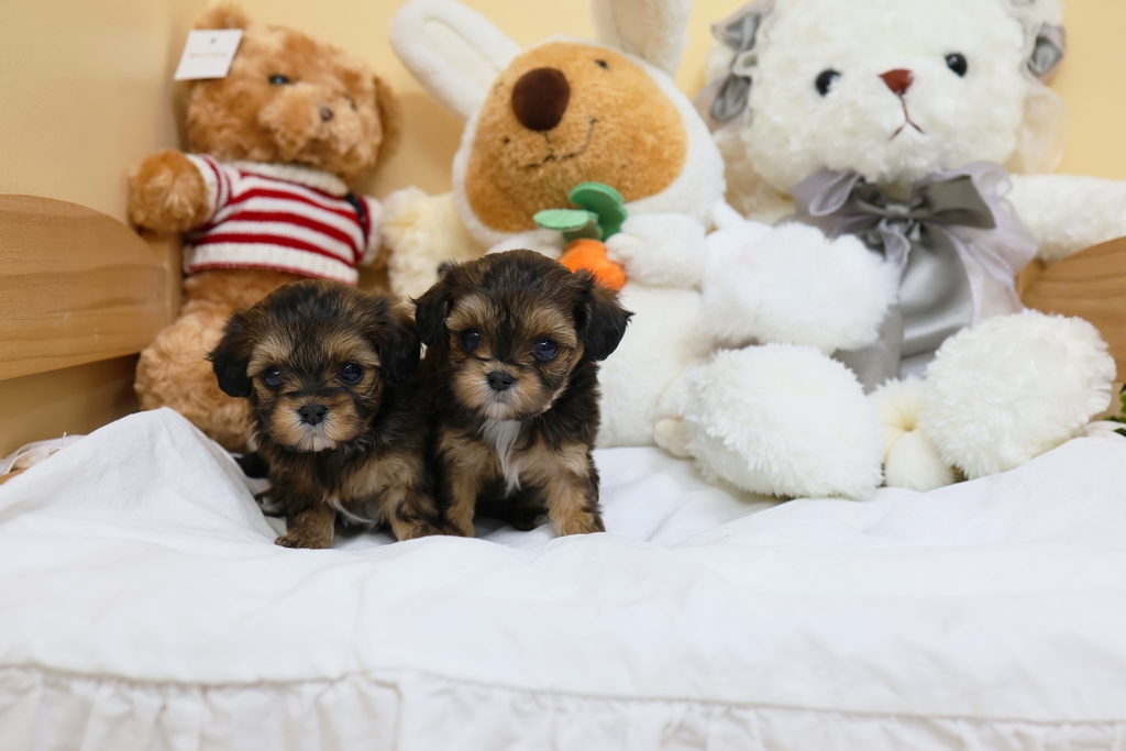 Ȯ�� �̹���