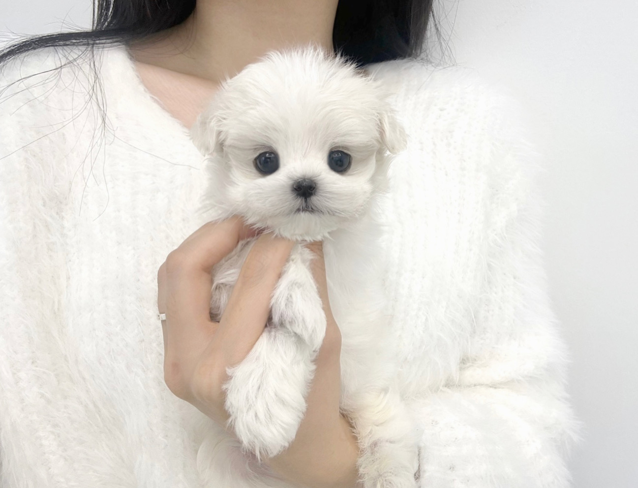 Ȯ�� �̹���