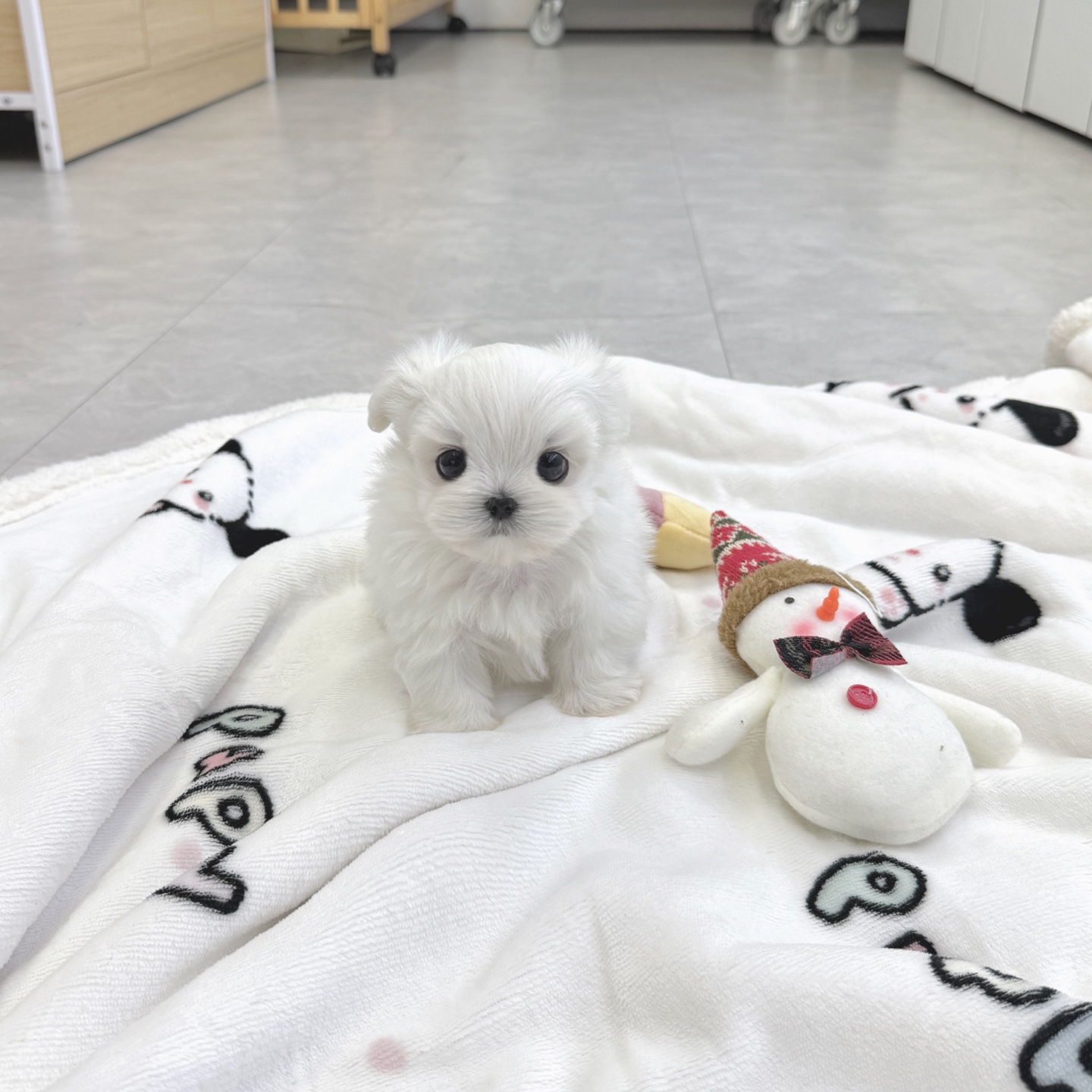 Ȯ�� �̹���