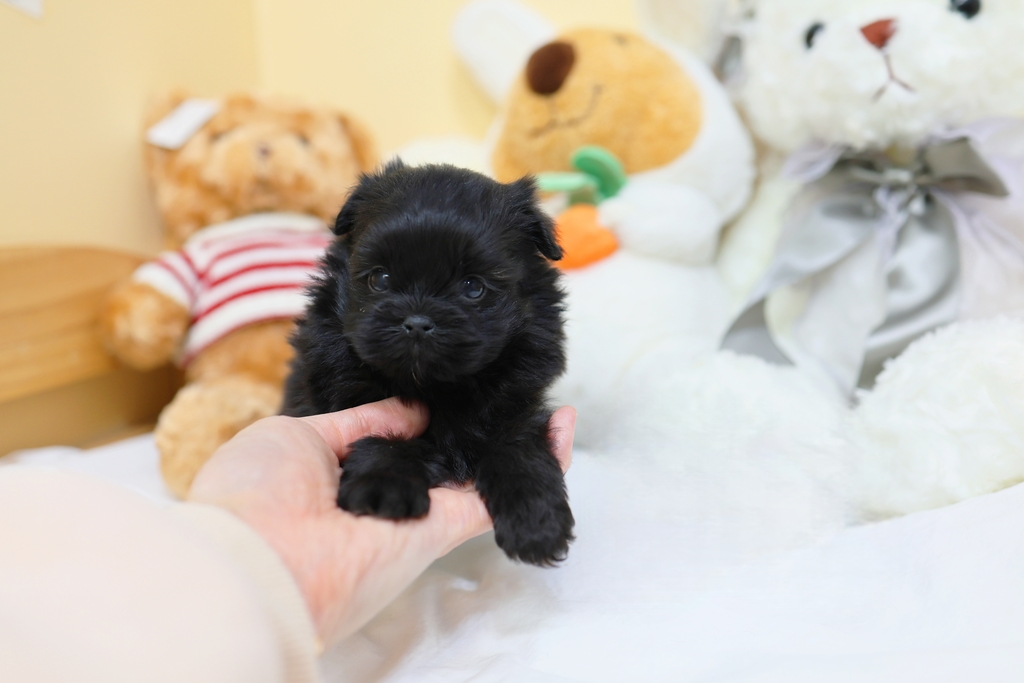 Ȯ�� �̹���