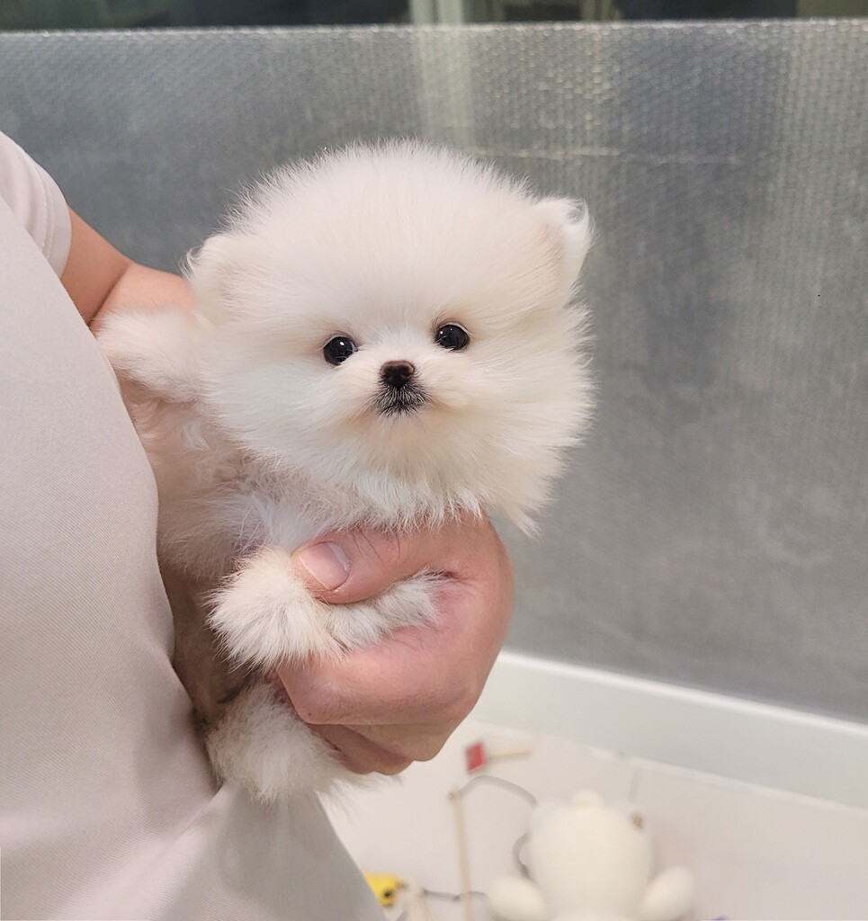 Ȯ�� �̹���