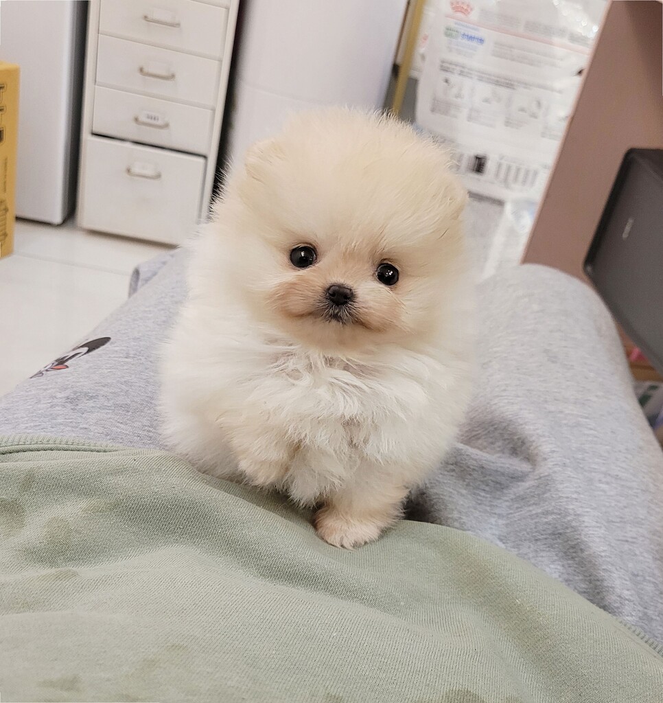 Ȯ�� �̹���