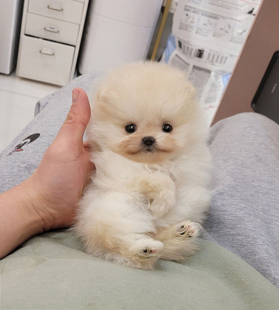 Ȯ�� �̹���