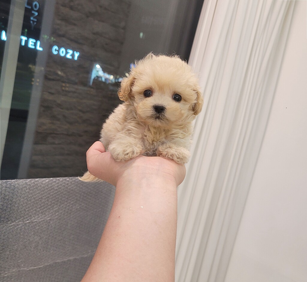 Ȯ�� �̹���