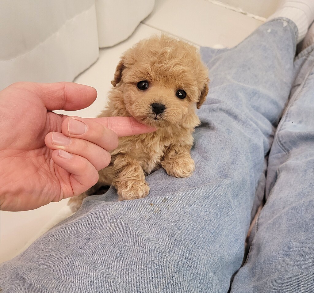 Ȯ�� �̹���