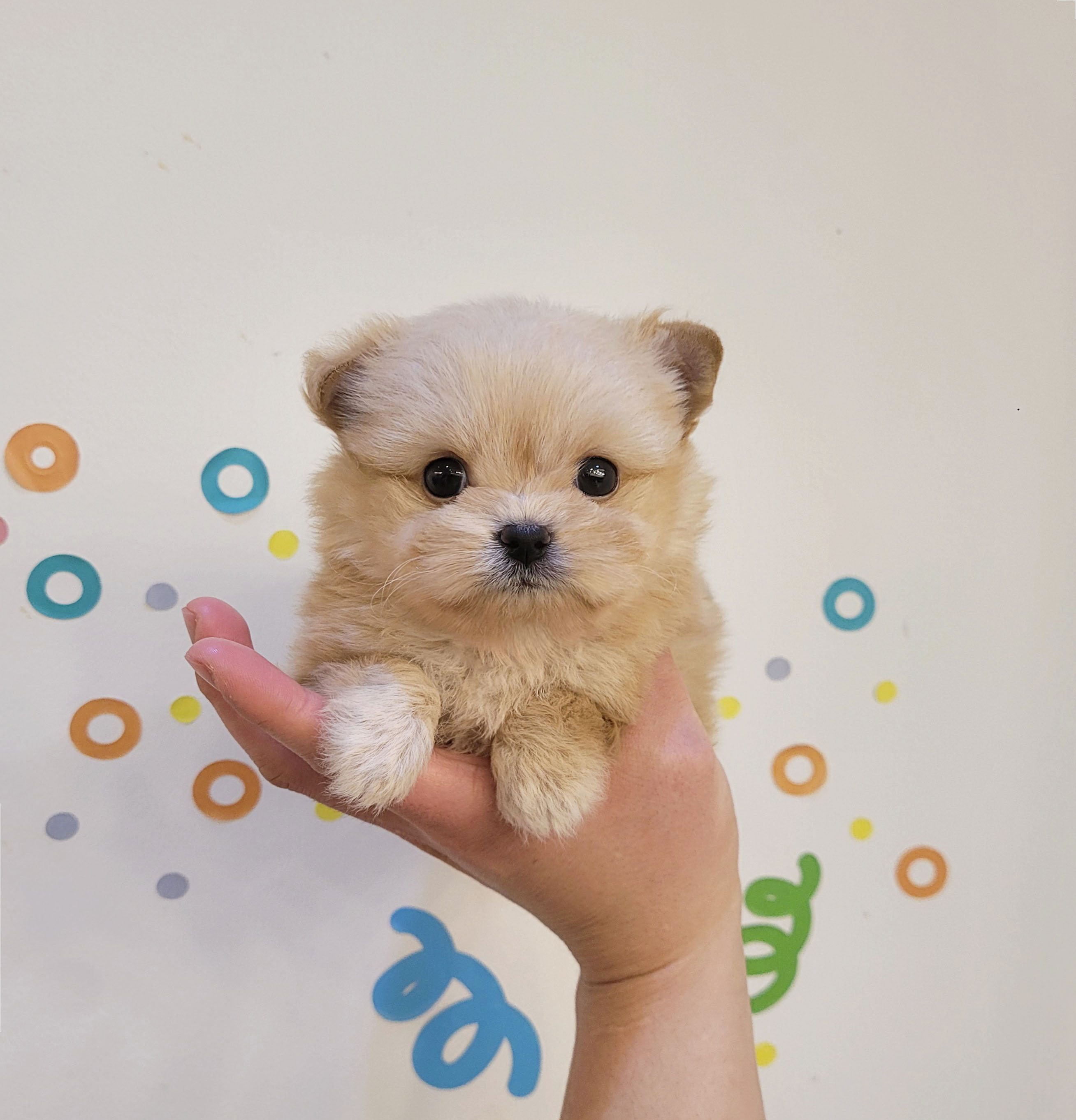 Ȯ�� �̹���