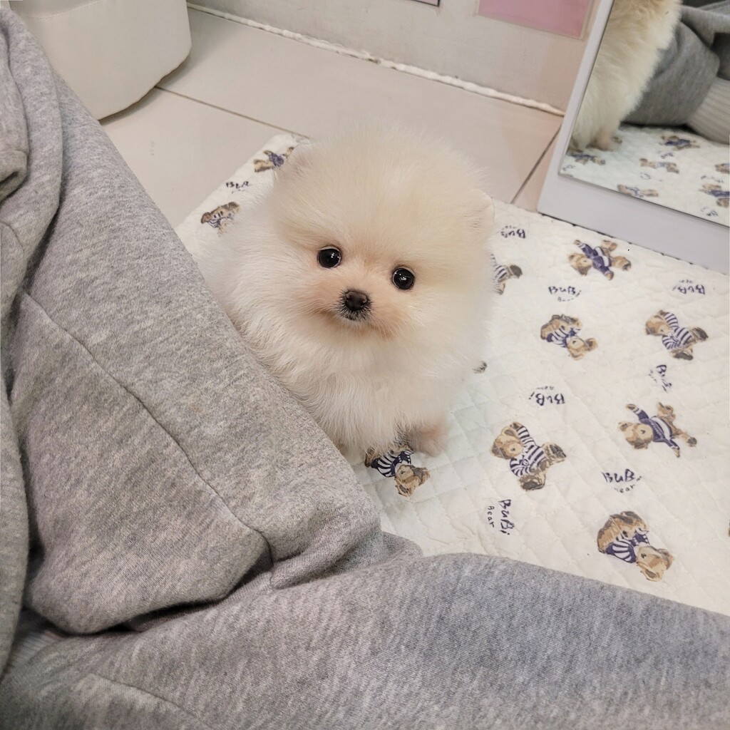 Ȯ�� �̹���