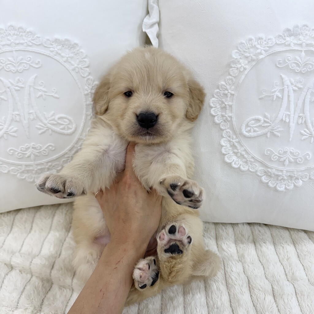 Ȯ�� �̹���