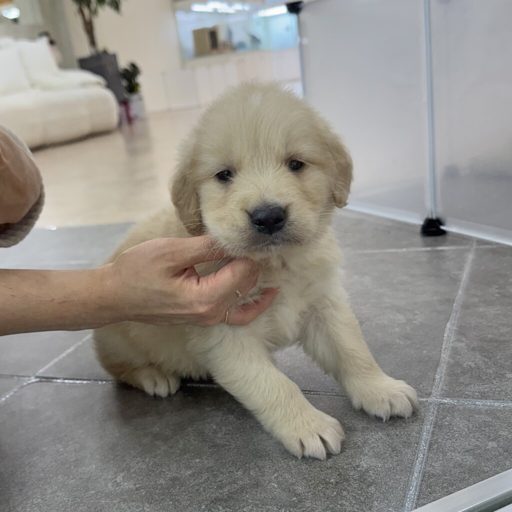 Ȯ�� �̹���