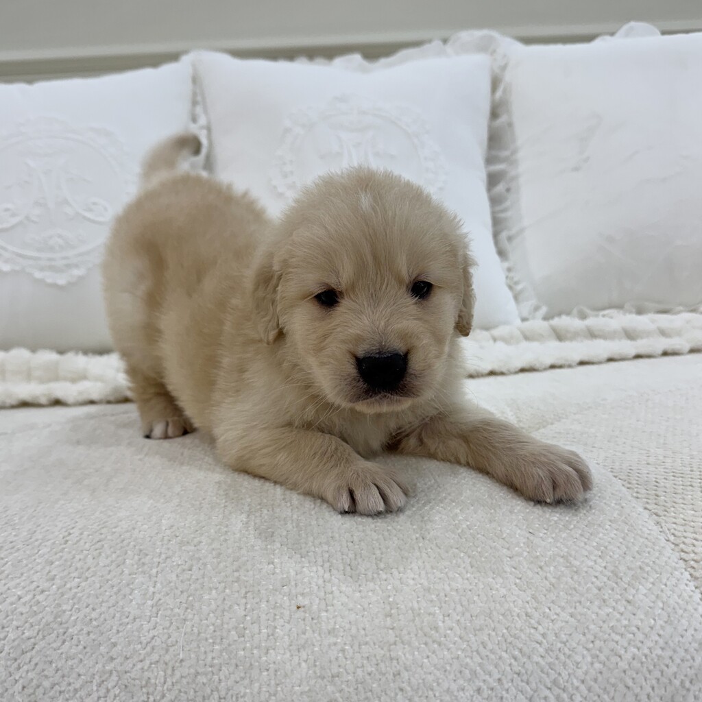 Ȯ�� �̹���