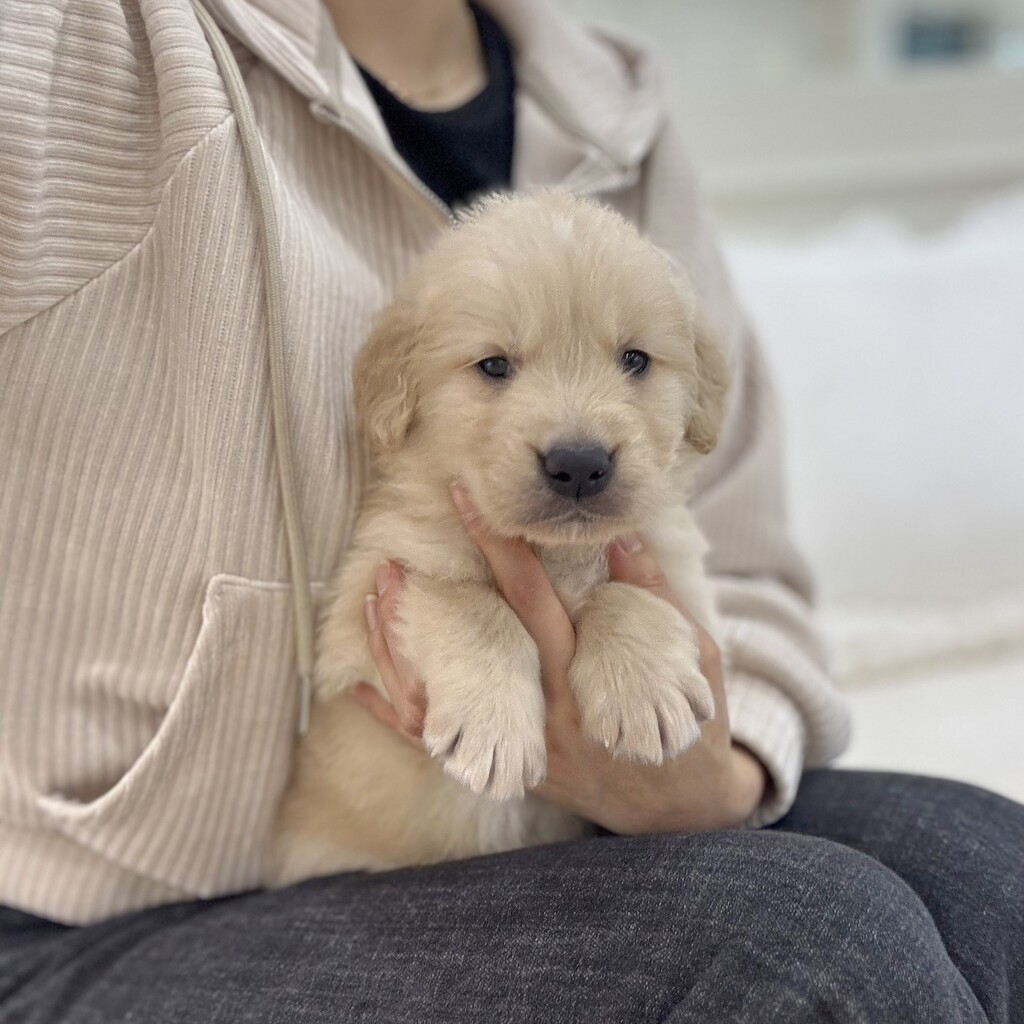 Ȯ�� �̹���