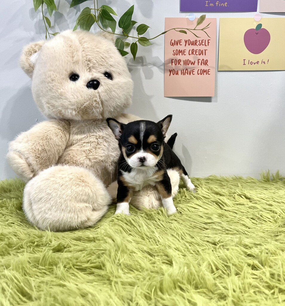 Ȯ�� �̹���