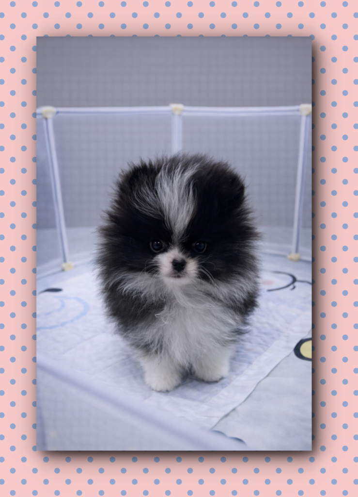 Ȯ�� �̹���