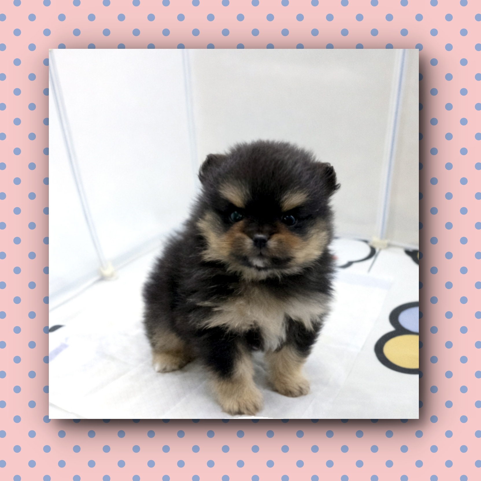 Ȯ�� �̹���