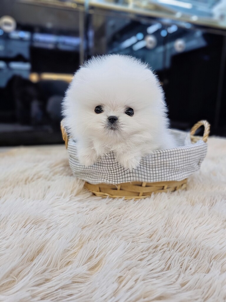 Ȯ�� �̹���