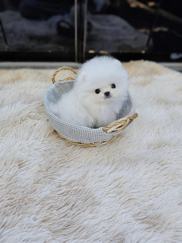 Ȯ�� �̹���