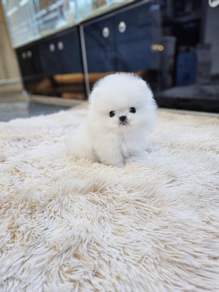 Ȯ�� �̹���