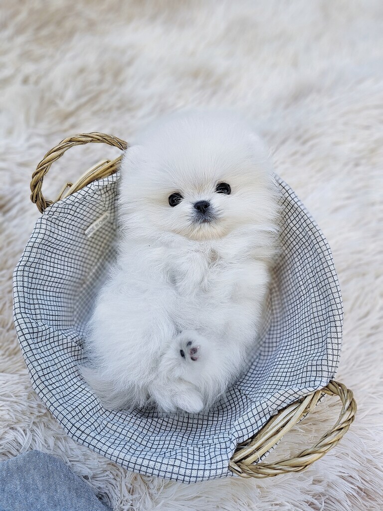 Ȯ�� �̹���