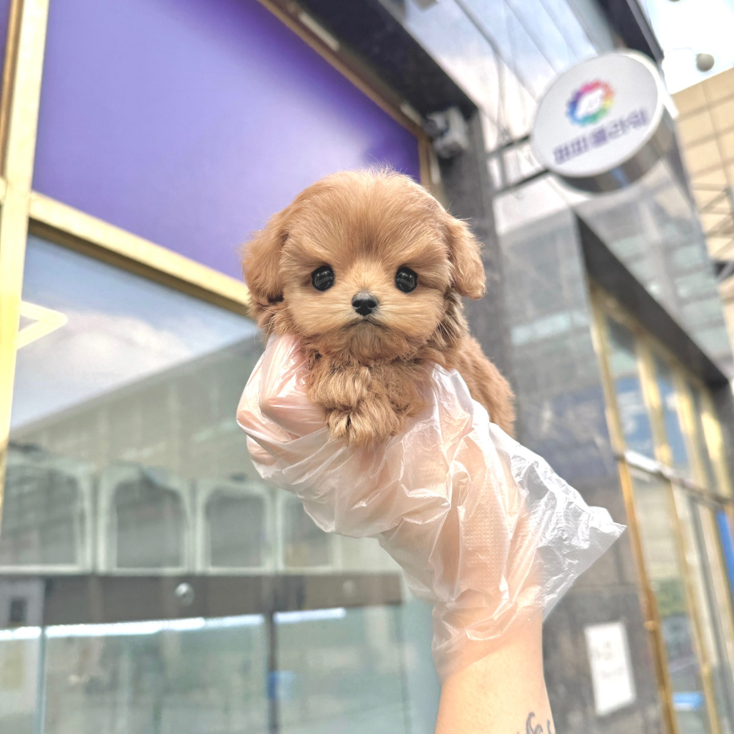 Ȯ�� �̹���