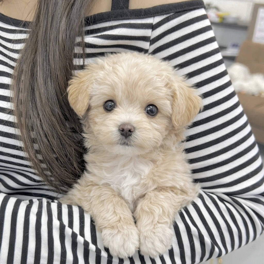 Ȯ�� �̹���