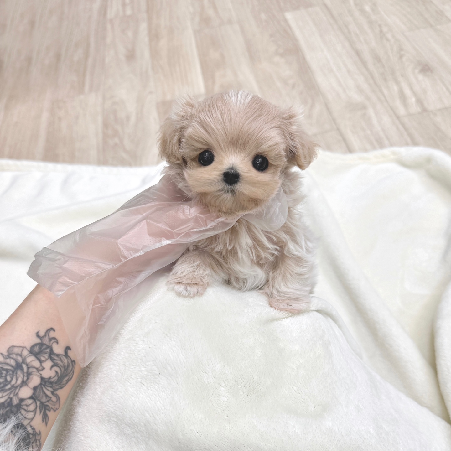 Ȯ�� �̹���